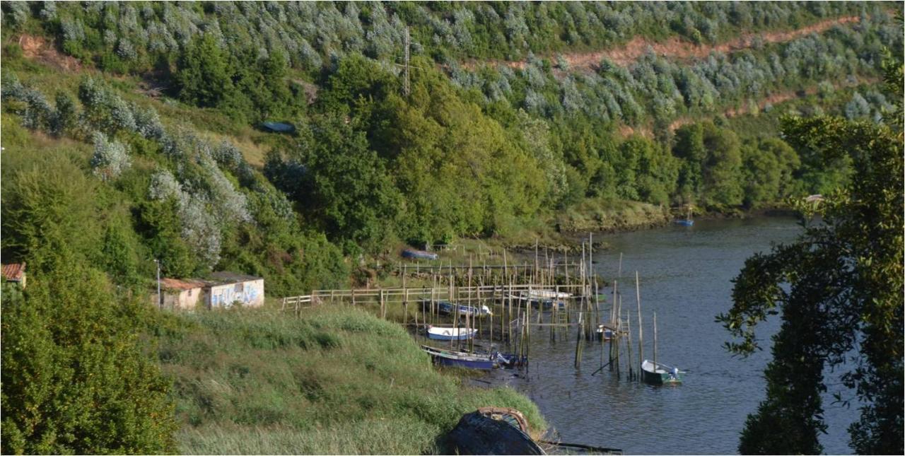 La Quintana Del Castillo Soto Del Barco Eksteriør bilde